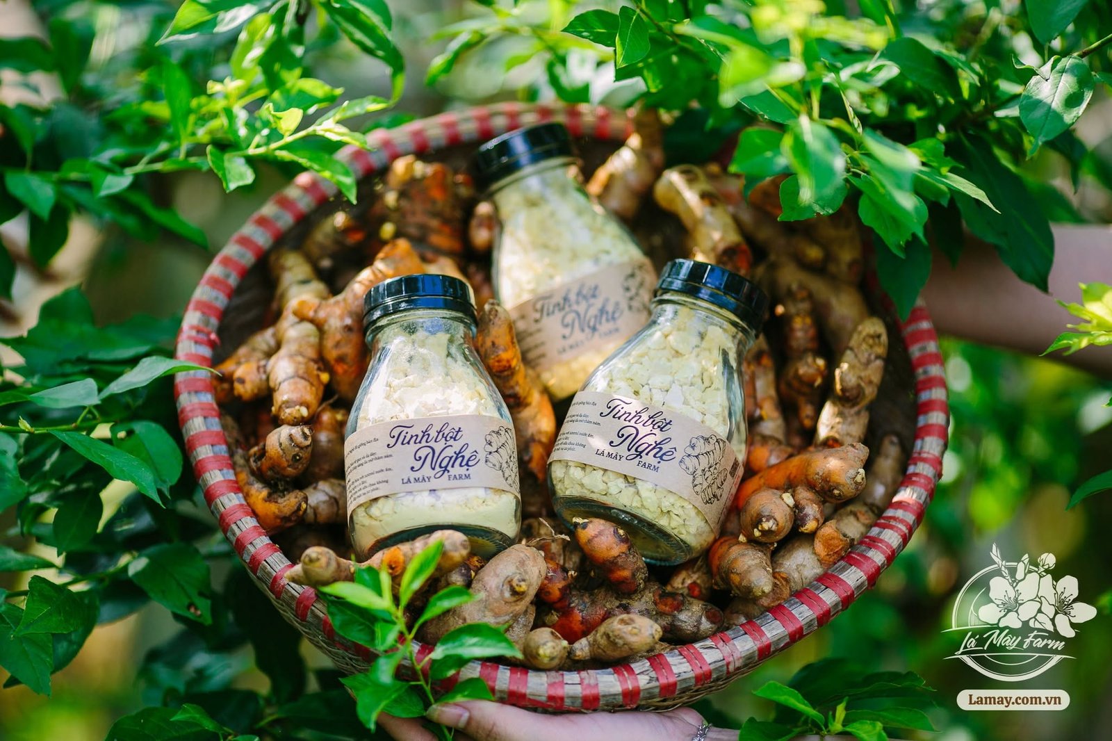 Chai Thuỷ Tinh Vuông Lùn Zasavn - 300ml / 500ml - Ảnh 6