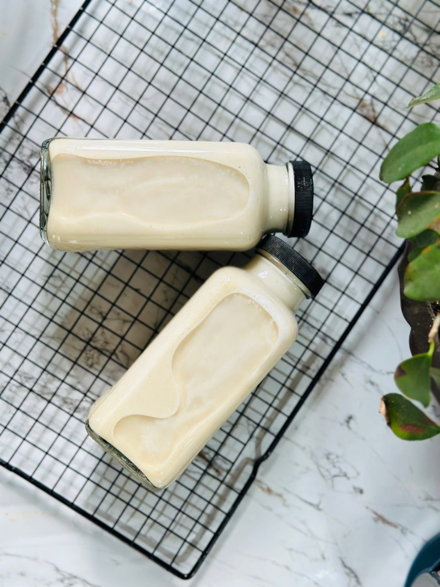 Chai Thủy Tinh Vuông Cao Zasavn - 250ml/350ml/500ml - Ảnh 3