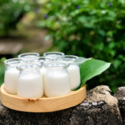 Hũ Yaourt Nắp Nhựa 100ml (Bán theo thùng) - Zasavn - Ảnh 4