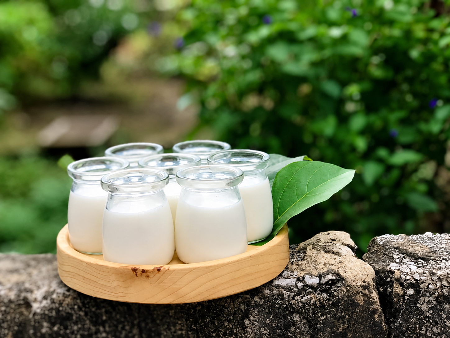 Hũ Yaourt Nắp Nhựa 100ml (Bán theo thùng) - Zasavn - Ảnh 4